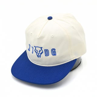 Void Classic Cap Blue
