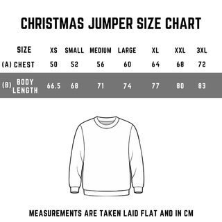 ITDG Christmas Jumper